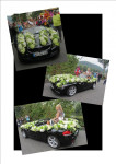 Blumencorso Bad Ems (Dld) 2013